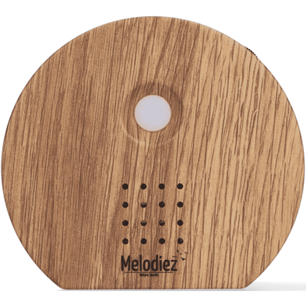 Melodiez-bruin2 Melodiez-bruin2